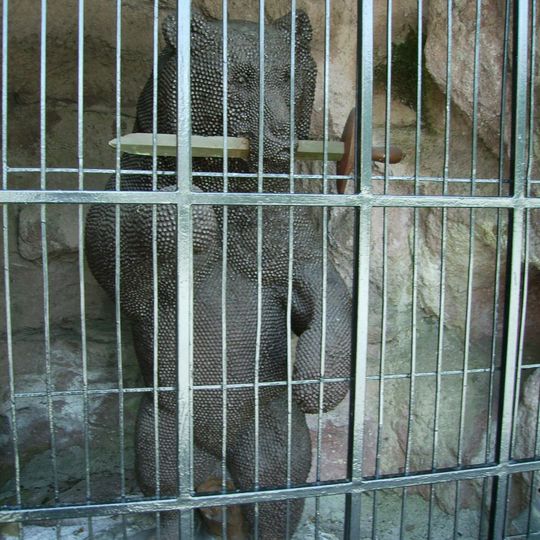 Sog. „Wehrbär“ und Bärenhöhle