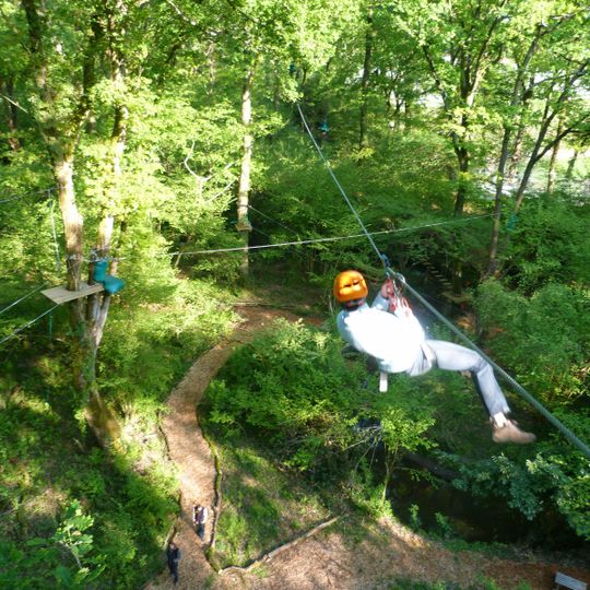 La Foret des Vert'tiges