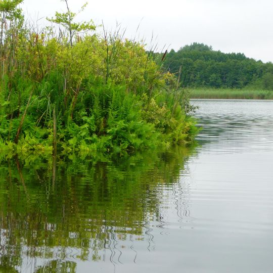 Kleiner Plessower See