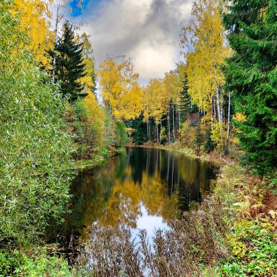 North Upper Novoshaleyny pond in Pavlovsk park