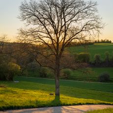 Böllingerbachtal und Michelbachtal