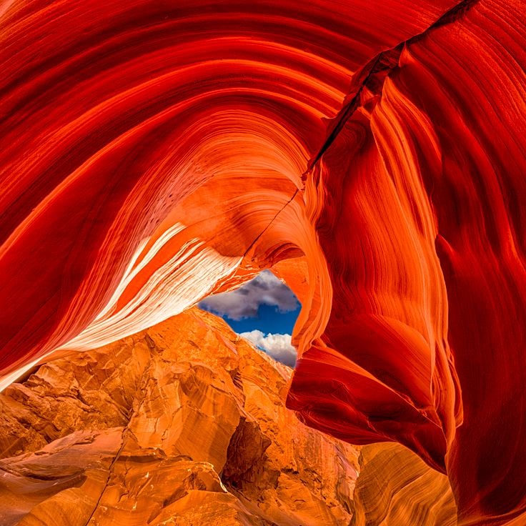 Canyon Antelope X