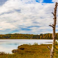 Mink Lake