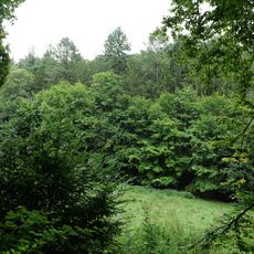 Wellbachtal bei Eppstein