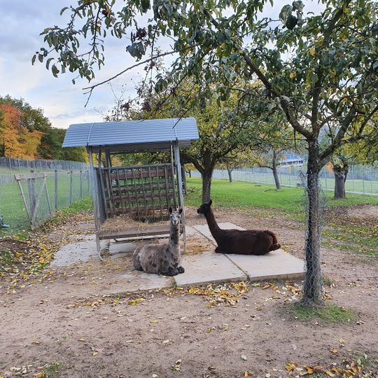 Tiergehege Freudenberg "Rauch-Zoo"