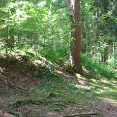 Kreuzlinger Forst (Landkreis Starnberg)