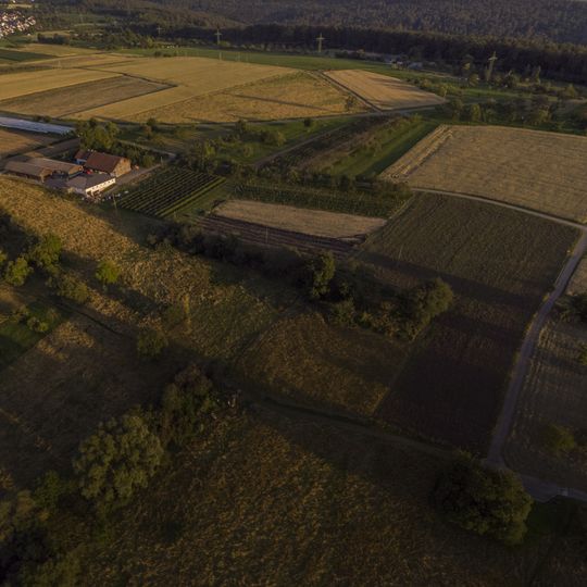 Feuchtgebiet im Gewann Mauswiesen