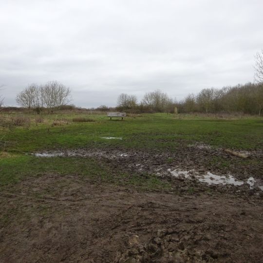 Burgess Field Nature Park