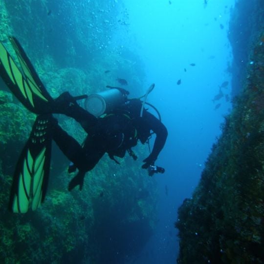 Poor Knights Islands Marine Reserve