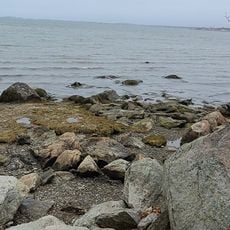 Squantum Marshes