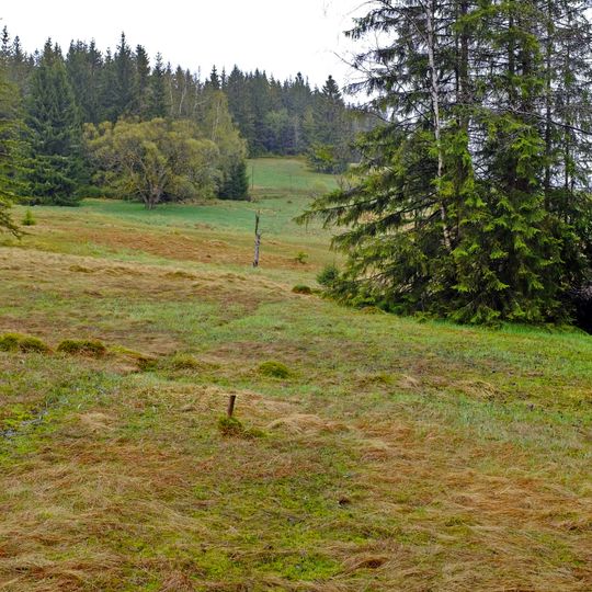 Rudenská luční prameniště