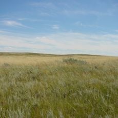 Northern Shortgrass Prairie
