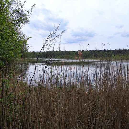 Rezerwat przyrody Smolnik