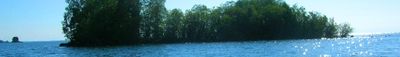 Panoramic View 0
