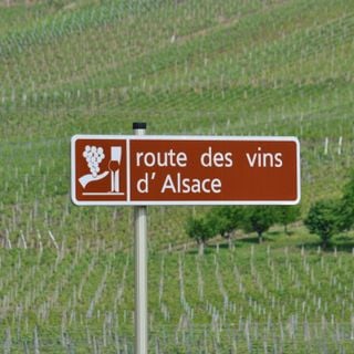 Strada dei vini alsaziani