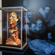 Musée de la médecine d'Helsingborg