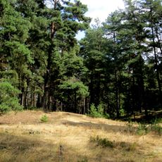Landschaftsschutzgebiet Dürnbucher Forst im Altlandkreis Kelheim