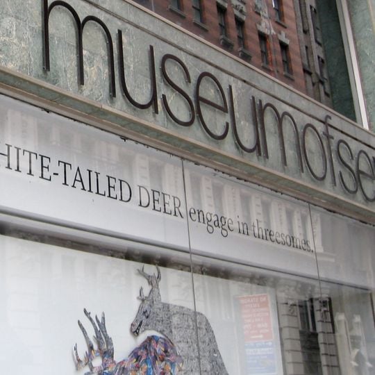 Museum of Sex