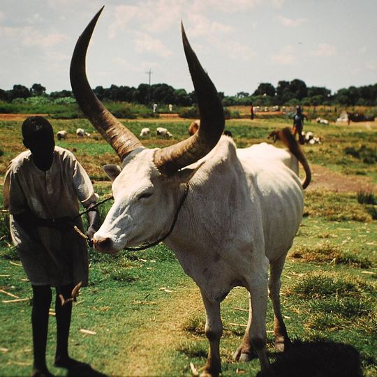 Bahr el Ghazal Zachodni