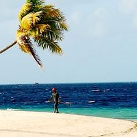 Wakatobi