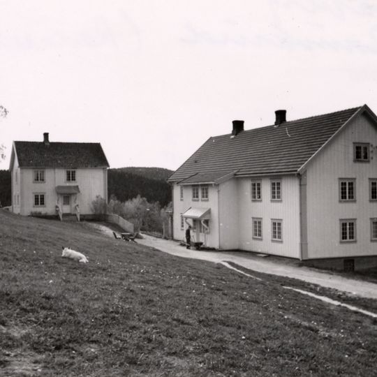 Roverud, rauverud