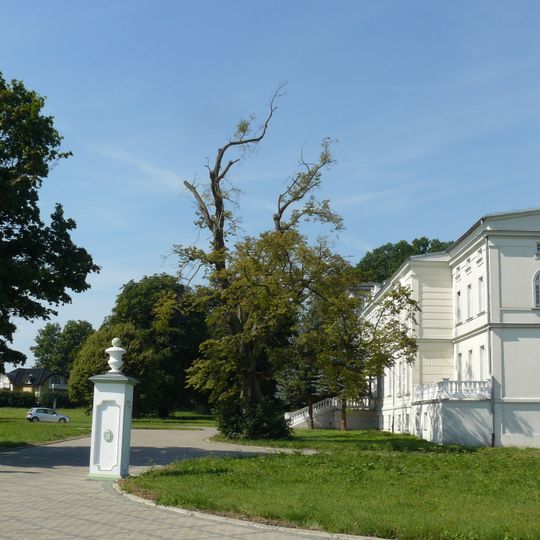 Pałac w Koszewku