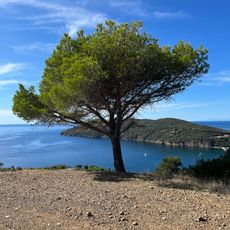 Monte Orello