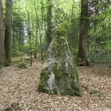 Menhirs dans la forêt de Haute-Sève