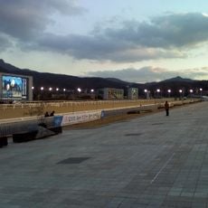LetsRun Park Seoul