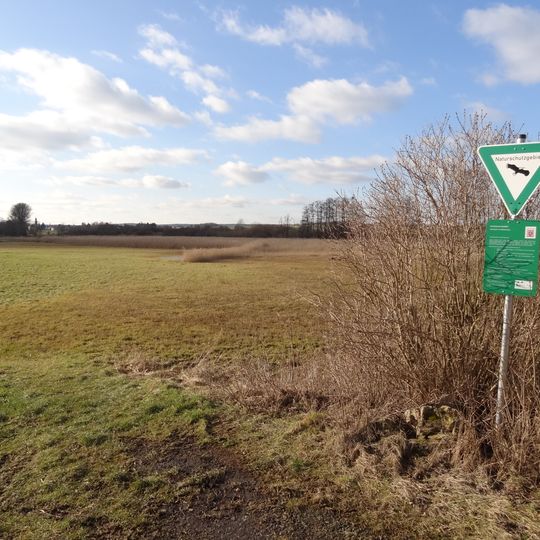 Salzwiesen von Münzenberg