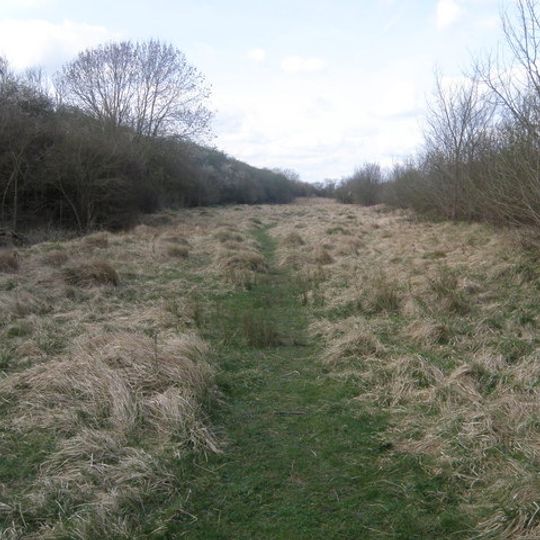 Woodwalton Marsh
