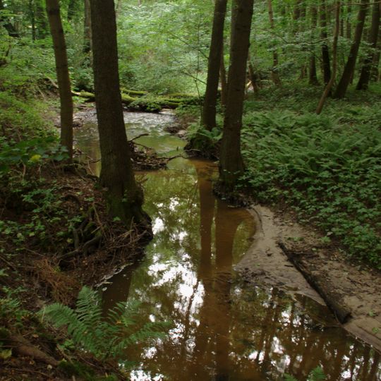 Rezerwat przyrody Dolina Stradanki