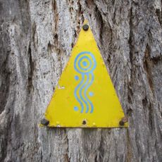 Munda Biddi Trail