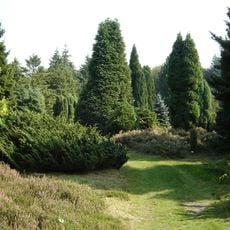 Pinetum Ter Borgh