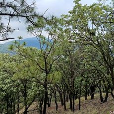 Mirador De Obsidianas