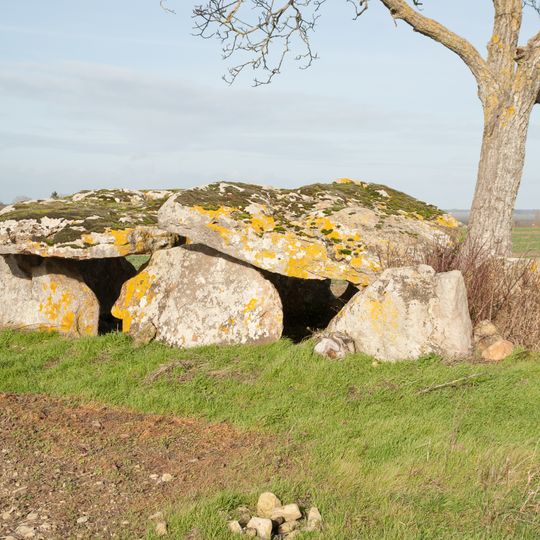 Dolmen de Vaon