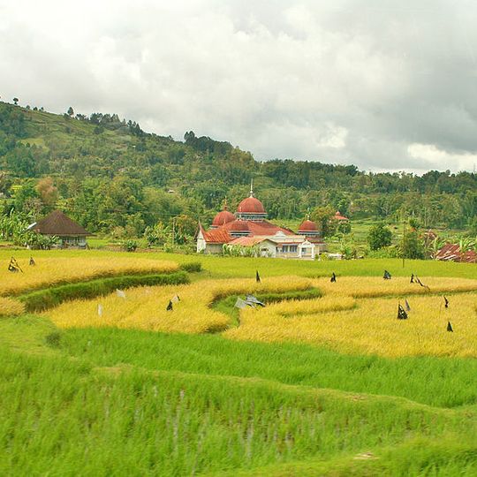 Masjid Nurul Yaqin, Matua Mudik