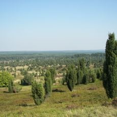 Lüneburg Heath Nature Park