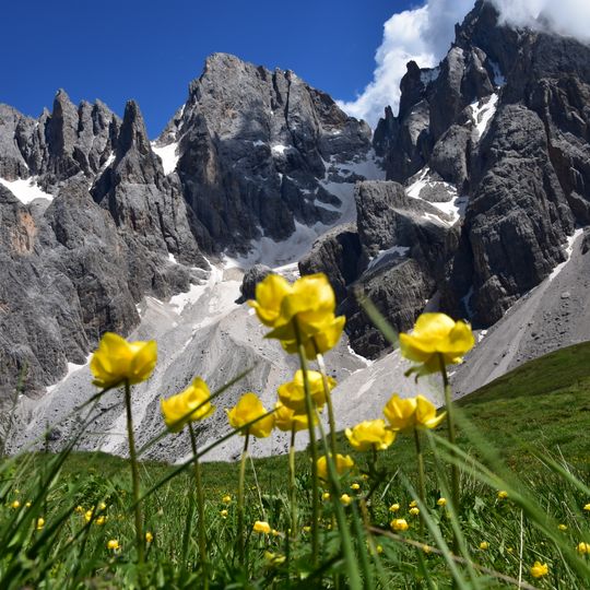 Pale di San Martino