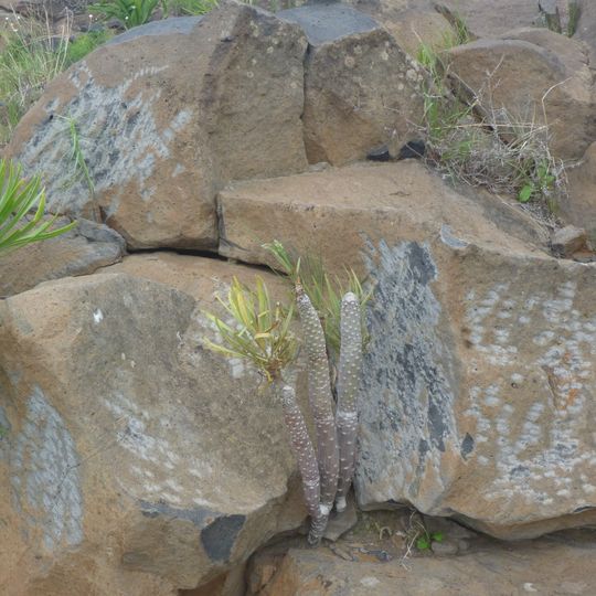 Archaeological area of Lomo Gordo