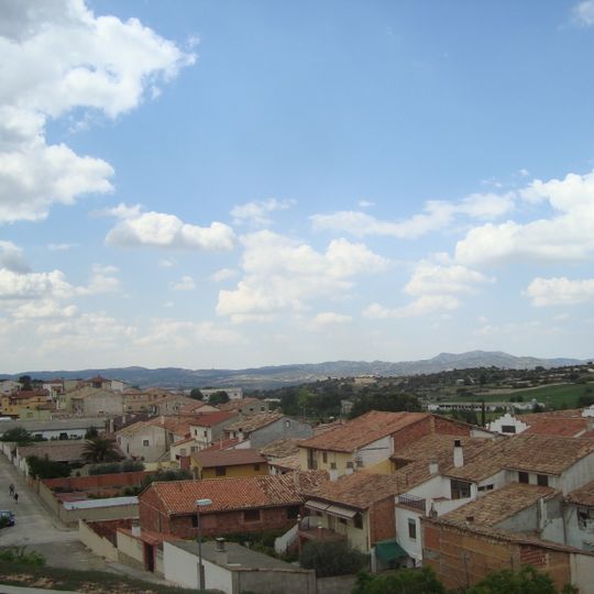 Aguaviva
