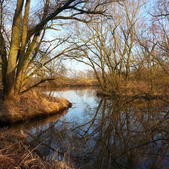 Mainaue zwischen Eltmann und Haßfurt