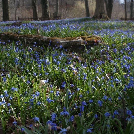 Stary cmentarz ewangelicki w Pasymiu