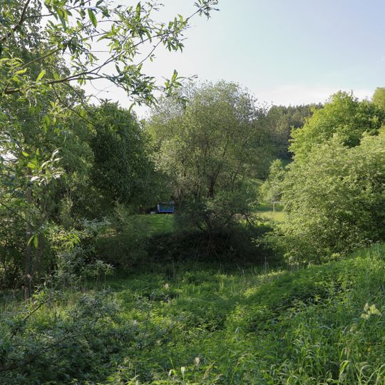 Feuchtstelle „Basenwiesen“