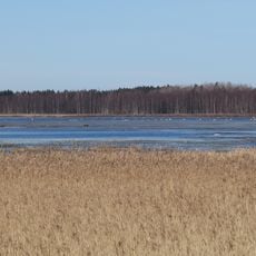 Saarnijärvi