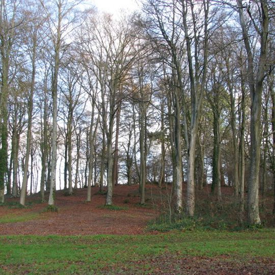Dolbury hillfort, 320m north of Killerton House