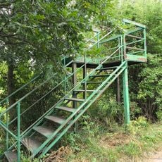 Wieża widokowa (szuwary)