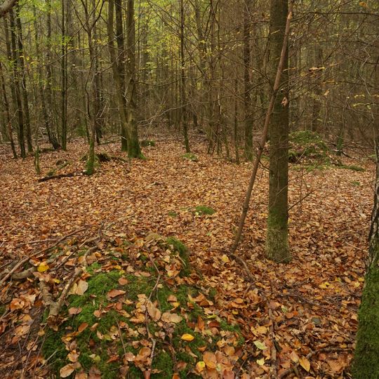 Großsteingrab Sachsenwald Alter Hau 3