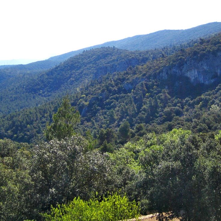 Carrascal de la Font Roja Natural Park