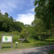 Yashiro forest park